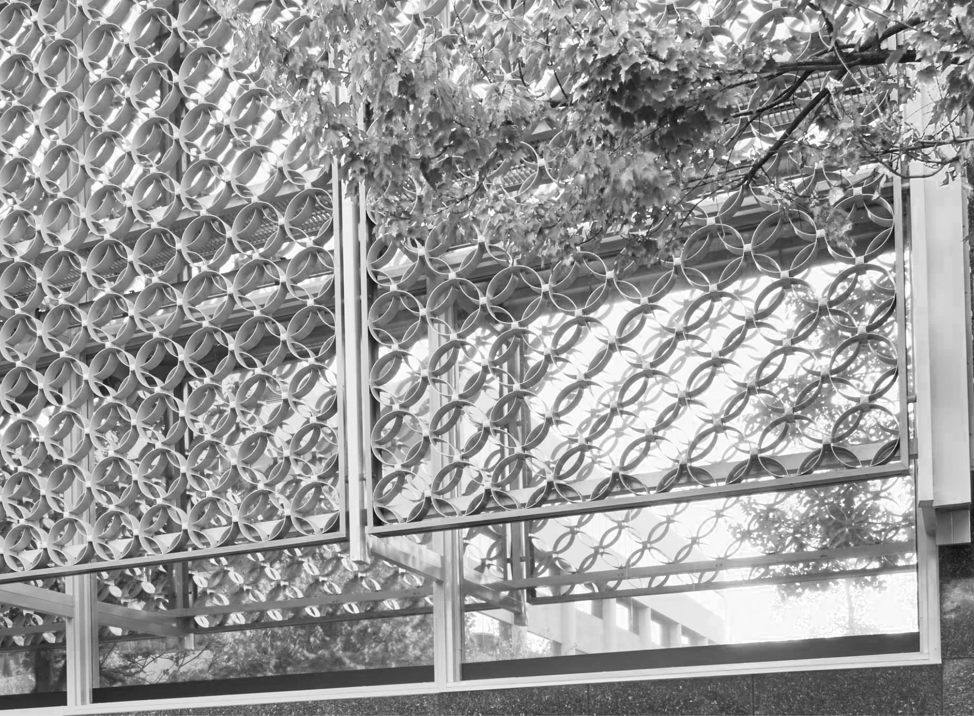 Geometric metal screen with circular pattern on building facade, partly covered by leafy branches; glass windows reflect light below.